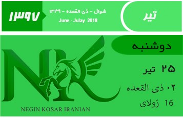 لغو ارایه ارز دولتی به مسافران!