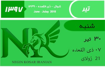 اعطای ارز مسافرتی متوقف شد